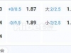 世亚预 中国 VS 印尼