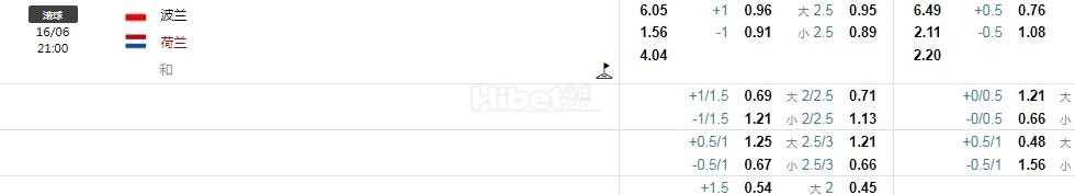 欧洲杯 波兰 VS 荷兰