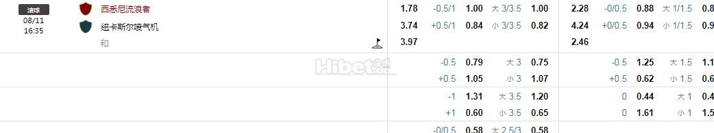 澳超：西悉尼流浪者 VS 纽卡斯尔喷气机